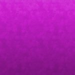 【異種族レビュアーズ】メードリー&クリム ウェイトレスパズル