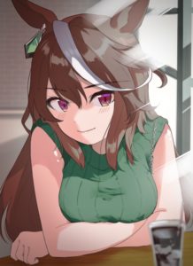 ウマ娘 パズル作って見た。シンボリルドルフ